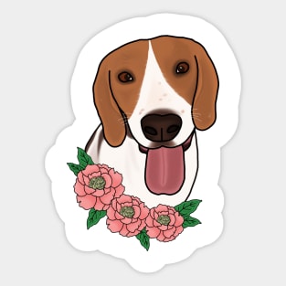 Beagle Sticker